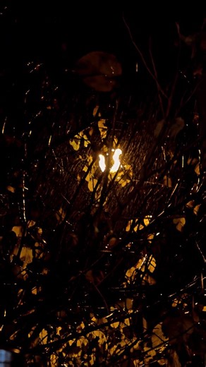 A.Shankar M.S / M.B.A (SOFTWARE ENGG AND FINANCE) on Instagram