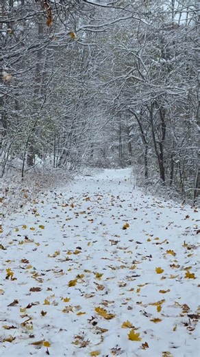 112K views · 10K reactions | Fall Meets Winter: This morning was right out of a fairytale here in Western New York. A little #Fall, a little #Winter and all was right in the world. | John Kucko Digital | Facebook
