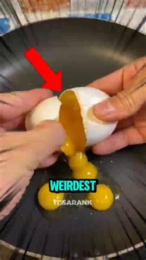 Top 5 Weirdest Eggs in the World