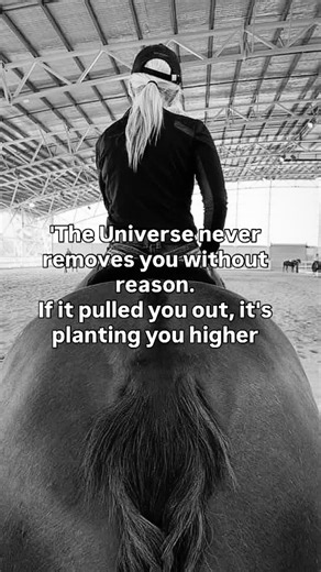 Sometimes the universe has to loosen your reins before it can guide you forward. What feels like being pulled away is often protection. What feels like loss is usually redirection. Trust the pause. Trust the process. You’re not being removed — you’re being positioned for something higher. 🐎✨ If this spoke to you, save it. If you needed the reminder, share it with someone who’s finding their footing again. | Horse and Soul Motivation
