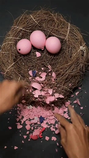 The Crunchiest Balloon Yet!  #nest #balloons #satisfying | Satisfying Balloonz111 | Facebook
