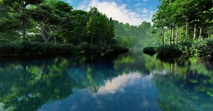 Amazing nature view with river and forest-HD