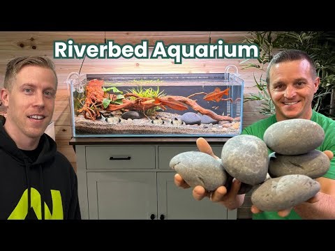 This RIVERBED AQUARIUM Is Unlike The Rest