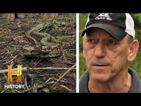 Diving Straight Into "The Snake Pit" | Swamp People: Serpent Invasion (Season 3) | History