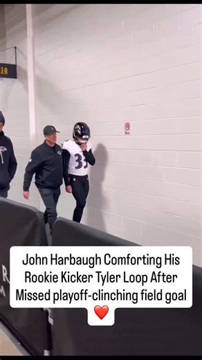 24/7 Sports on Instagram: "Powerful 🥹❤️ Baltimore Ravens head coach John Harbaugh was seen comforting rookie kicker Tyler Loop as they headed to the locker room after the missed playoff-clinching field goal. In the biggest moment… Coach Harbaugh reminded him it’s bigger than football. Losses fade. Moments like this last forever. Pure class. What a special scene 🥹❤️ Follow 👉👉👉 @sports.momentz for more. #Ravens #RavensNation #BaltimoreRavens #JohnHarbaugh #NFL #Leadership #ClassAct #FootballF