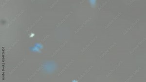 Microparticles of plastic in aquatic environment. Macro shooting of small and micro plastic pieces in water environment. Problems of environmental pollution with plastic waste