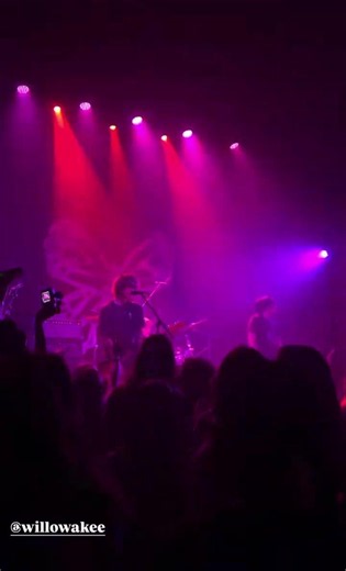 Tim Burton - Live at Lincoln Hall, Chicago, IL, 8/11/26 #willowake #alternative #indie #band #music