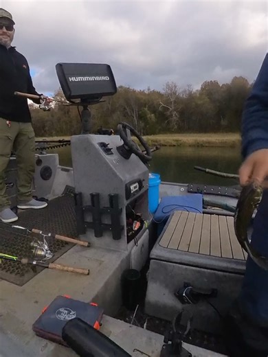Knoxville Fishing Guide on Reels