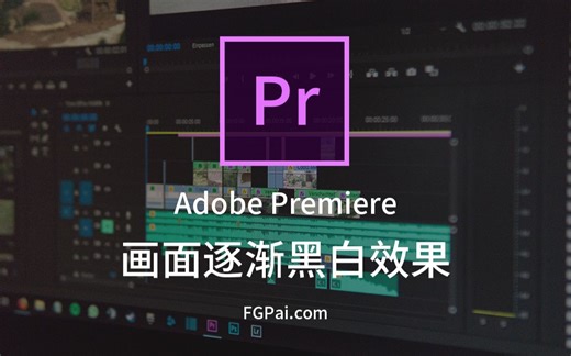 【两分钟玩转Pr】画面逐渐黑白效果