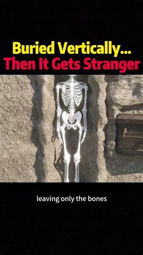 Buried Vertically… Then It Gets Stranger #knowledge #science
