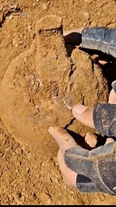 162K views · 1.4K reactions | Metal detecting | X Finding | Facebook