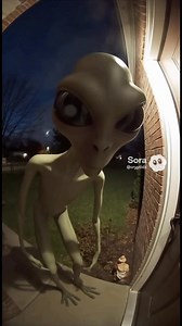 55K views · 275 reactions | Extraterrestrial Vistitor #alien #aliens #Extraterrestrial #viral Disclaimer: This video is for entertainment purposes only. All characters and scenes are fictional. | Cryptid Universe | Facebook