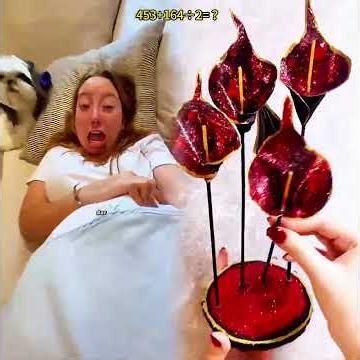 QUE PREFIERES NIÑOS O NIÑAS?🧒🏻👧🏼 QUIEN GANA