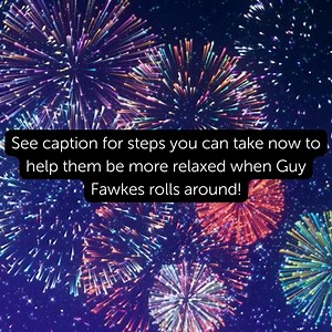 2.5K views · 34 reactions | If your dog is scared of fireworks, now...