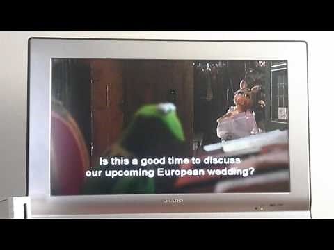 Kermit arguing with Miss Piggy about their wedding