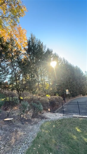 Making room for that golden glow one branch at a time ✨ #branchtobranchtreeservice #treeservice #treecompany #newjersey #tree #glow #pinetrees #landscapestyles #goldenhour | Branch to Branch Tree Service Corporation | Facebook