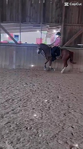 #horse #music #pferde #equestrian #galopp #edit