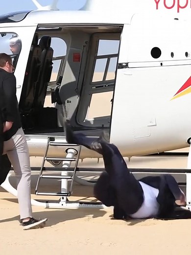 The air show settlement with Michael Gates and Kevin Elliot of Code Four. Here’s how it all really went down……… | Rock Lynx