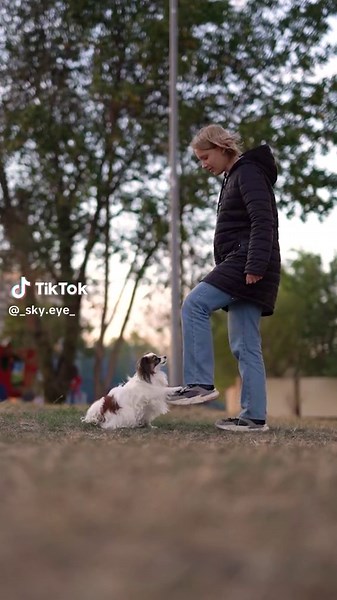 Dazzling Disco Club Dance Trend with Rotating Disco Ball