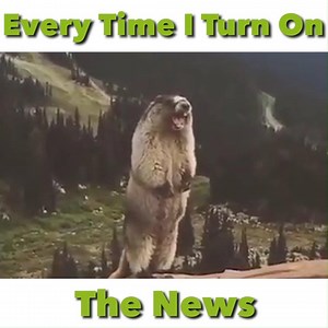 83K views · 805 reactions | Every Time I Turn On The News   | Irish TV | Facebook