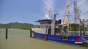 4.4K views · 26 reactions | Commercial fishers are demanding the state and federal governments re-think the proposed ban on gill-net fishing in the Gulf. Anglers estimate if it goes ahead, more than $100 million would be wiped from the Queensland economy. 7NEWS at 6pm. More local news: 7news.com.au/news/cairns #7NEWS | 7NEWS Cairns | Facebook