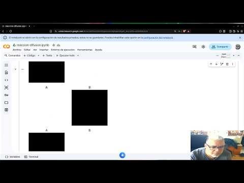 SC Session 26 Numerical simulation of diffusion reaction systems in Python