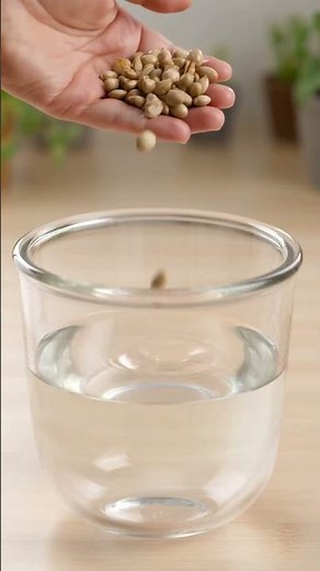 Your seeds are taking too long to germinate 😱🌱 (Do this first) #garden #plants #insecticide #bees...