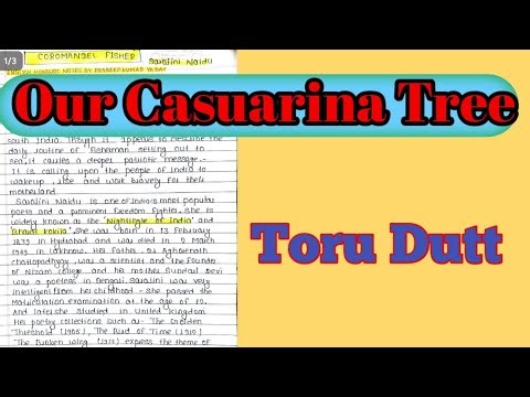 Our Casuarina Tree By Toru Summary