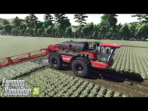FS25 | AGRIFAC Gets Its First Spray On Herbicid and CaseIH 7150 Wheat Harvest ! ReShade Gameplay
