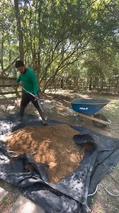 168K views · 1.4K reactions | We created a stunning flagstone border around this shed giving it a refined and polished look ✨ #flagstone #patio #Gardenideas #HomeProjects #viral #diy #asmr #landscaping #landscape #steppingstones | Eden's Garden | Facebook