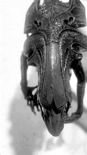 Repainted a warrior, might as well paint a red #xenomorph QUEEN #alien #mcfarlanetoys #figure