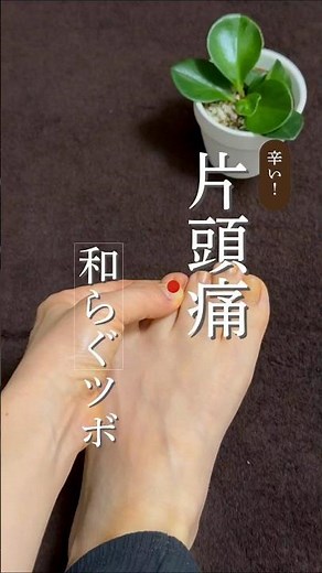 片頭痛に👉️今回は足竅陰(あしきょういん)のツボ▷こめかみや後頭部の頭痛を和らげ、目の疲れやイライラを落ち着かせるツボ👍️全身の巡りを整え、片頭痛やめまいのケアにも役立ってくれるよ♡
