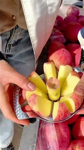 Vendor slicing fresh apples quickly using stainless steel corer