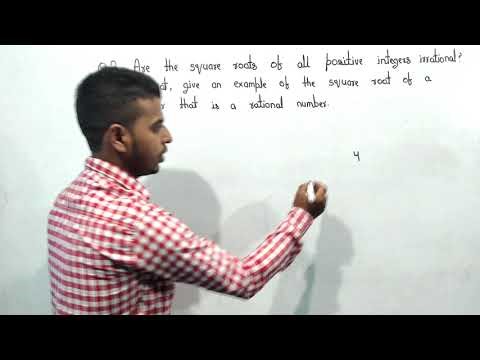 Class 9 Maths Exercise 1.2 Question 2 | Number System NCERT Solution