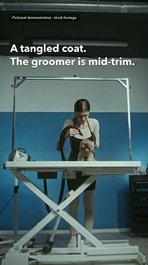 An AI receptionist for pet grooming | Odile After Hours