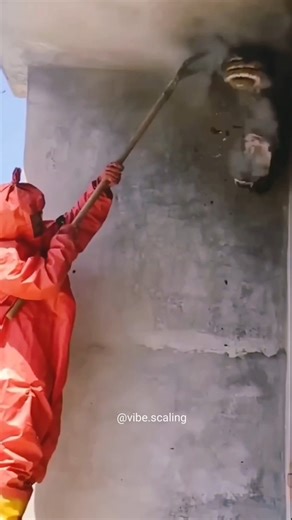 How beekeepers turn Time into Money. @Vibe.Scaling #podcast #shorts #usa