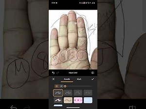 Understanding fingers and their phalanges in Palmistry.