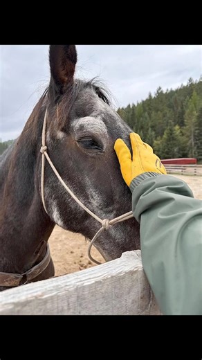 1.1K views · 19 reactions | 鸞Embarking on an adventure vacation at...