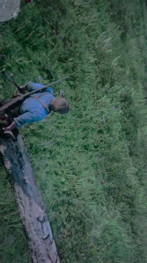 PS4 vs Red Dead Redemption II