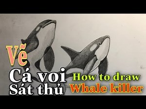 Cách vẽ cá voi sát thủ đơn giản | How to draw a whale killer