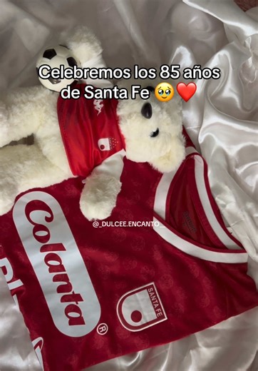 Vivamos la fiesta por los 85 de Santa Fe 🦁 Envíos a toda Colombia 🇨🇴 #cisf #santafe #lgars #futbol