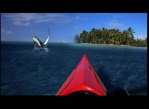 Pacific Life - "Kayak"