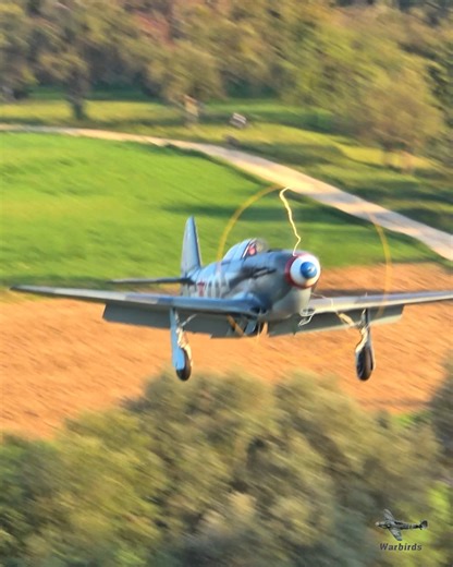 Pure elegance in motion. The legendary Yakovlev Yak-3 returns to earth in golden evening light at the Hahnweide Airshow. That smooth touchdown, the shimmering prop in the sunset, and the unmistakable silhouette of one of WWII’s finest fighters — moments like this are why we love historic aviation. Turn up the sound and enjoy the magic of V12 power meeting perfect light. 🌅🔥 #YakovlevYak3 #HahnweideAirshow #WarbirdLanding #VintageAviation #AviationPhotography | Warbirds