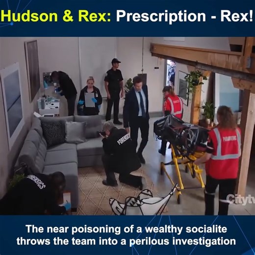5.1K views · 227 reactions | Hudson & Rex - S3.E5 ∙ Prescription - Rex!…. | Biserica Penticostală “Rugul Aprins” Haspe | Facebook
