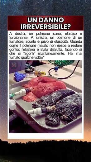 Il confronto che rivela i danni del fumo