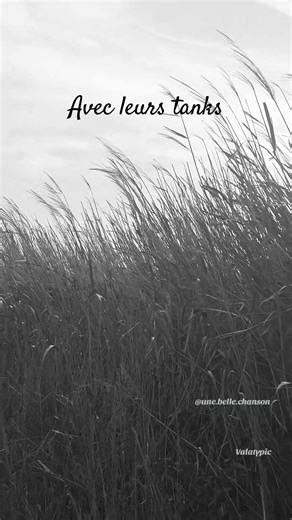 Understanding the Message Behind