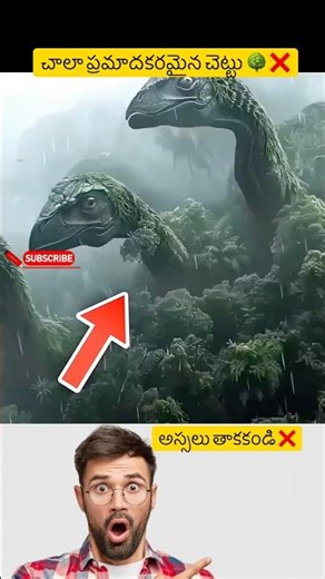 The Most Dangerous Trees in the World in Telugu! 🚫 #Facts #Telugu #shorts