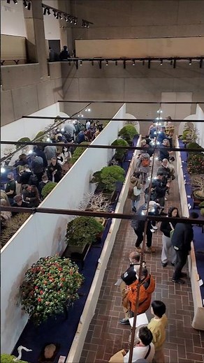 100회 국풍분재전 후기(後期) 첫날!