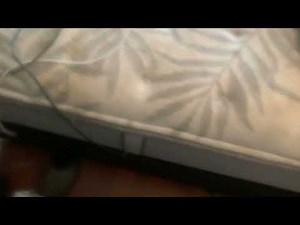 StoryBots Super Songs Theme Song