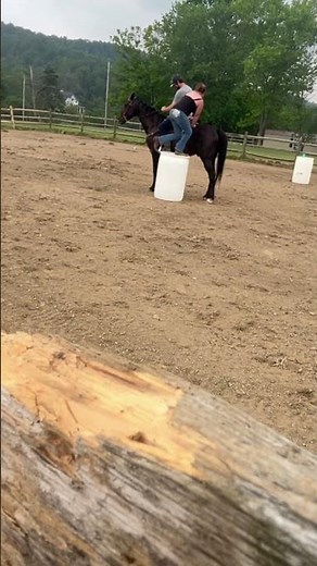 Golds first time riding double! #horse #equestrian #equestrianjourney #standardbred #horsebackriding